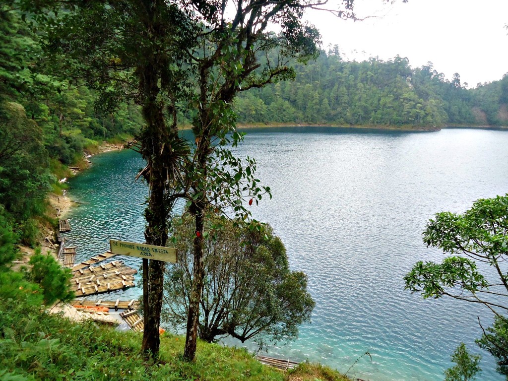 291577_2645204667547_977736793_o