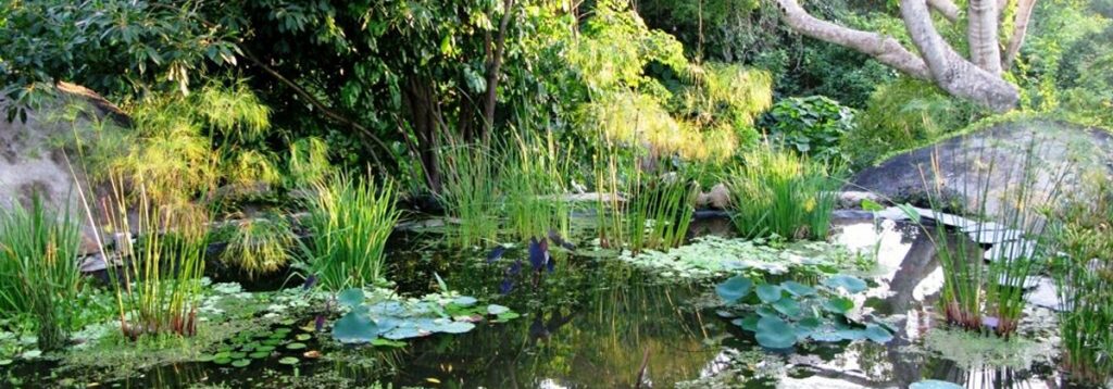 acapulco-jardin-botanico